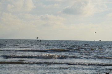 Fototapeta premium Ein Blick aufs Meer 