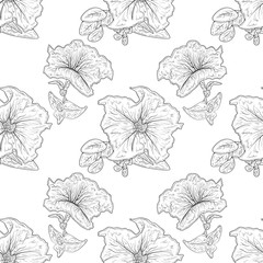 Petunia. Flower, leaf.  Sketch. Sketch. Monochrome. Background, wallpaper, texture, seamless.