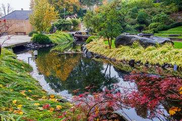 Fototapeta na wymiar Japanese garden . Autumn.
