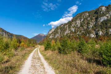 Almtal bei Sonnenuntergang mit bunten Laubbäumen und Herbstblättern, an einem wunderschönen Herbsttag