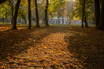 Park of landowner Lizogub