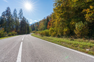 Landstraße im herbstlichen Wald