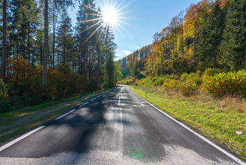 Landstraße im herbstlichen Wald