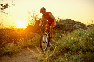 Professional cyclist riding a bike, active lifestyle.