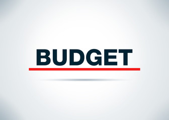 Budget Abstract Flat Background Design Illustration