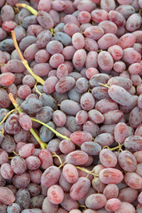 Red wine grapes background