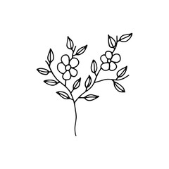 plant twig with flowers icon. sketch