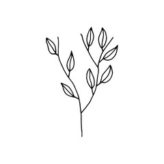 plant twig with leaves icon. sketch isolated