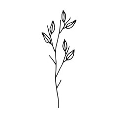 plant twig with leaves icon. sketch isolated object