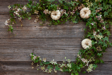 Floral background with green ivy, hortensia flowers and white decorative pumpkins. Top view, closeup on vintage wooden background.