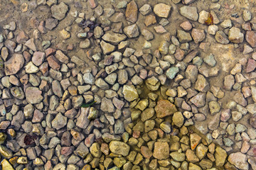 Close up wet stony soil in a fall