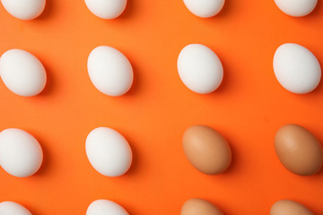 Raw chicken eggs on color background, top view