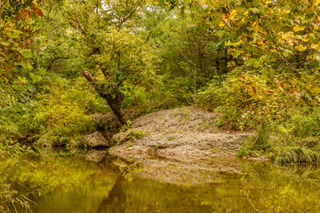 Still pond in the woods.