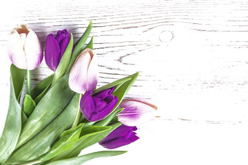 bouquet of white and purple tulips on white wooden background