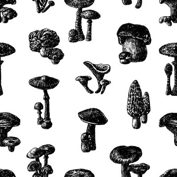 Vector pattern of various mushrooms