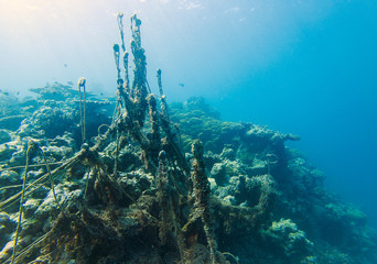 Discarded ghost fishing net causing damage to a coral reef and their habitat