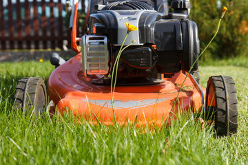 The red lawn mower mows the grass in the garden