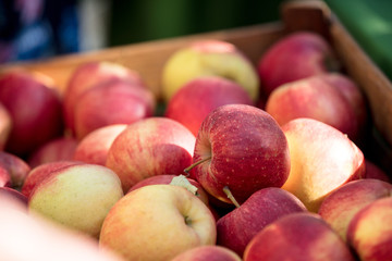 Red apples in a drawer. Side view. Autumn season time