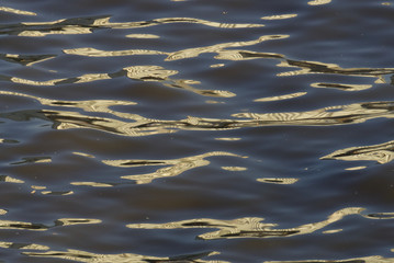 Water with reflections texture