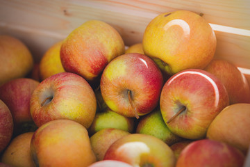 Red apples in a drawer. Side view. Autumn season time