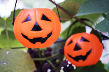 Halloween Pumpkins On Wood In A Spooky Forest