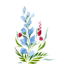 Watercolor tender peony flower. Floral botanical flower. Isolated illustration element. Aquarelle wildflower for background, texture, wrapper pattern, frame or border.