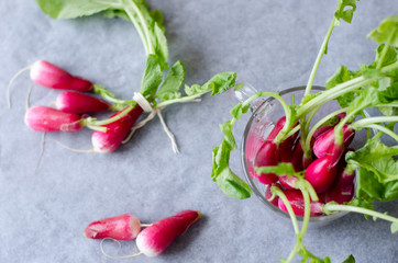 Radishes with white tips