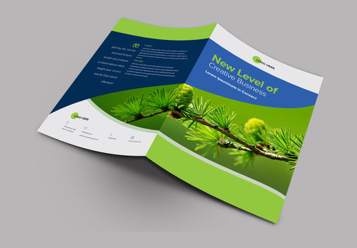 Blue and Green Brochure Layout