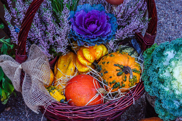 Close up shot of colored pumpkins in the basket