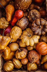 Close up shot of colored pumpkins in the basket