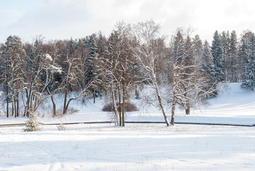 The shore of a frozen river on a cold winter day.