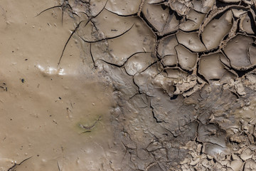 Drying mud for use as a background.