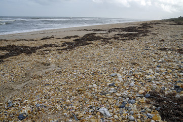Beautiful North Beach Guana River Preserve on the east coast, Florida State, USA