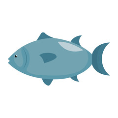 tuna sea food icon
