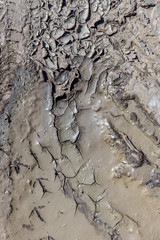 Drying mud for use as a background.