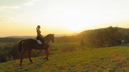 Naklejka na ściany i meble AERIAL: Flying along young woman riding her beautiful brown horse at sunrise.