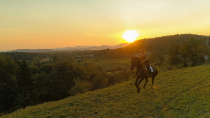 Fototapeta na wymiar LENS FLARE: Energetic horse gallops through countryside with woman on its back.