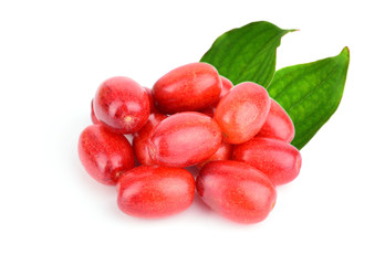 Cornus Culinary and Medicinal Herb Plant Fruit and Leaves. Also Cornelian Cherry, Dogwood, European Cornel or Cornus Mas. Isolated on White Background.