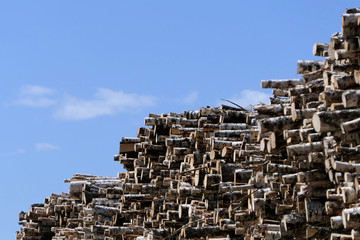 Woodpile show in the sky. Tree trunks are stacked as stairs. In the background is a bright blue sky. Storage location for the wood industry.