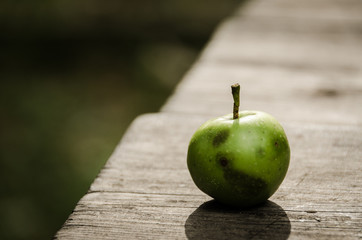 Close-up of an apple with black spots