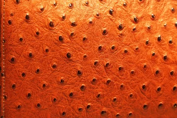 Sierkussen Struisvogelleer patroon © markobe