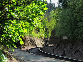Fototapeta premium old railway tracks in nature, romantic nostalgic traveling by train