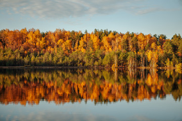 Reflection of trees in water at golden sunset.