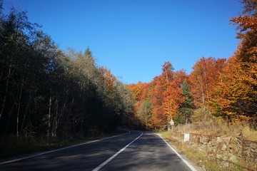 Mountains landscape during fall season. Road passing through colorful forests