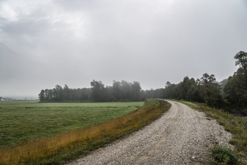 Fototapeta na wymiar Nebel im Herbst