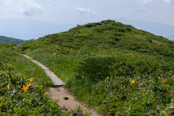 ニセ巻機山（前巻機山）の頂上付近の風景