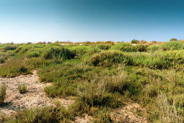Fototapeta na wymiar National Park Ria Formosa in Algarve, Portugal