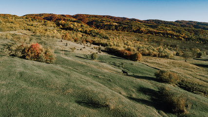 A beautiful connection between a equestrian and his black horse on a sunny autumn day.