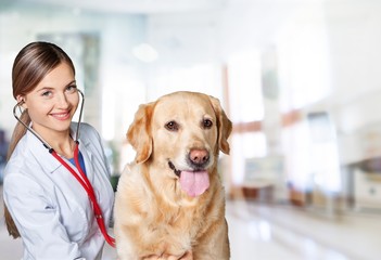 Attractive young female doctor with funny canine