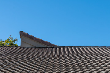 A tile roof is rising from the bottom up to the middle. A small tree branch is above the roof on the left. A peaked area on the roof is on the left. A blue sky is in the background. This is horizontal
